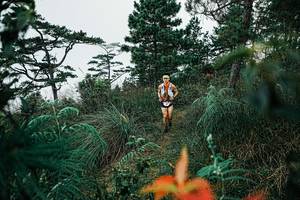 BIB: 
                            <button type="button" onclick="openModal(25257750)" class="btn btn-primary btn-sm float-right btn-popup" data-toggle="modal" data-target=".modal-high-quality">
                        <i class="fas fa-shopping-cart"></i> Add to Cart
                    </button>
                                            <button type="button" onclick="isThisMe(25257750, true)" class="btn btn-success btn-sm float-right btn-popup btn-isme hidden" data-toggle="tooltip" data-placement="bottom" title="นี่คือรูปของคุณใช่ไหม คลิกที่นี่เพื่อเอาเข้าอัลบั้ม">
                        <i class="fas fa-plus"></i> Add to album
                    </button>
                    <button type="button" onclick="isThisMe(25257750, false)" class="btn btn-warning btn-sm float-right btn-popup btn-isnotme hidden">
                        <i class="fas fa-ban"></i> Remove from album
                    </button>